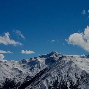 Meet your Posher, Richard